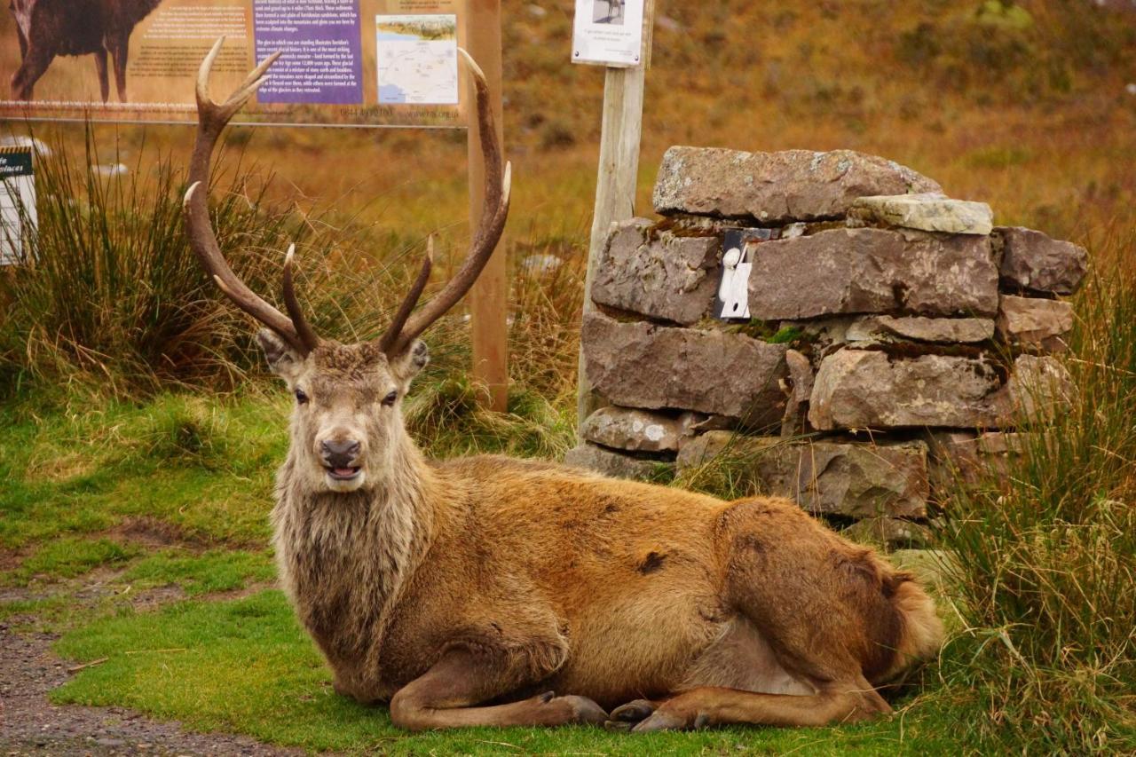 West Horizon Holiday Cottage Lochinver Bagian luar foto